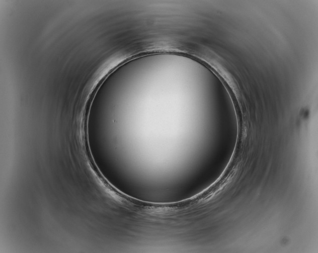 X0000098211293200805011202
