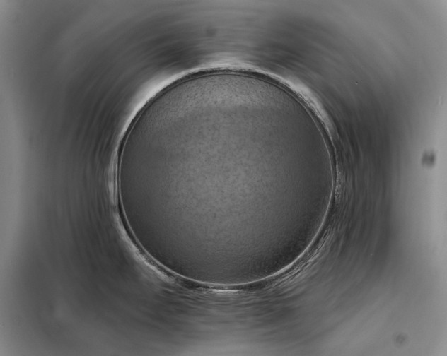 X0000098211295200805011202