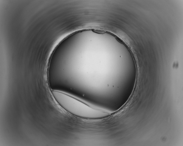 X0000098211296200805011202