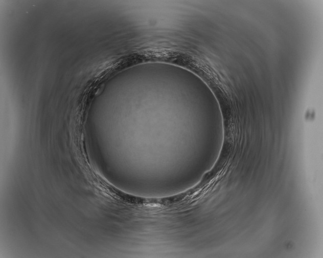 X0000098211297200805011201