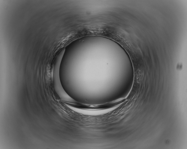 X0000098211298200805011201