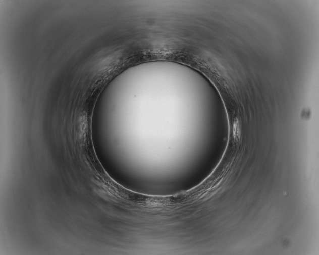 X0000098211299200805011201