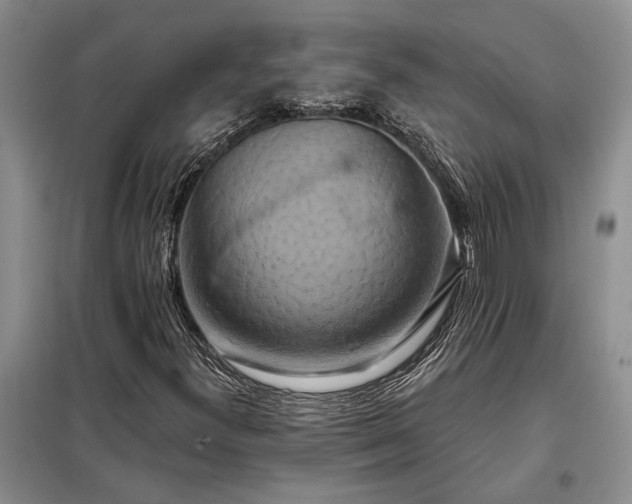 X0000098211300200805011201