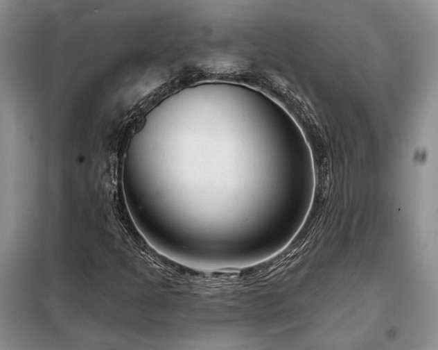 X0000098211301200805011201