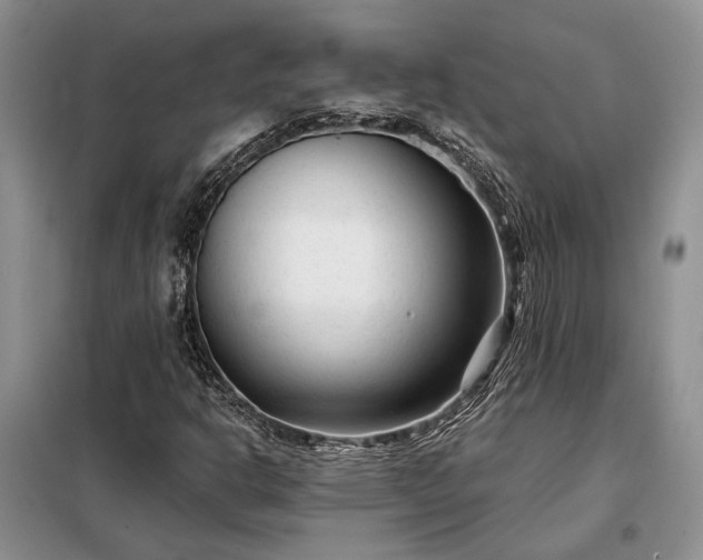 X0000098211302200805011201