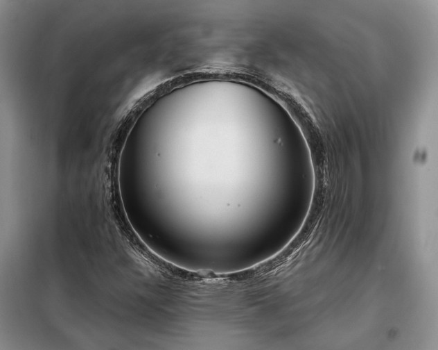 X0000098211304200805011201