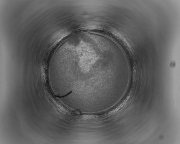 X0000098211305200805011201