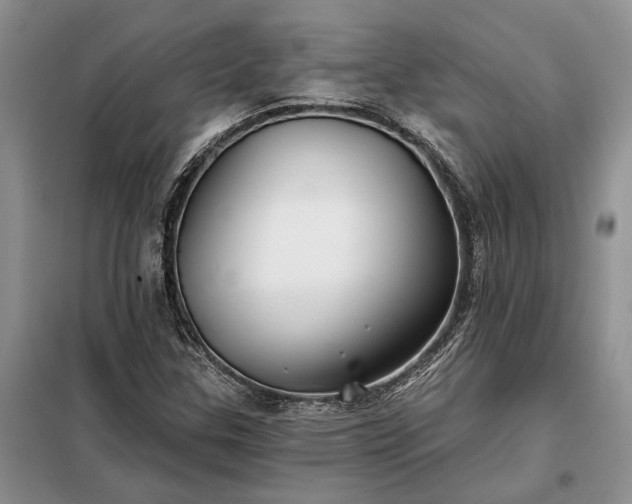 X0000098211307200805011201
