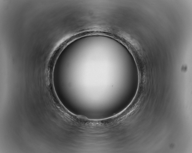 X0000098211310200805011201