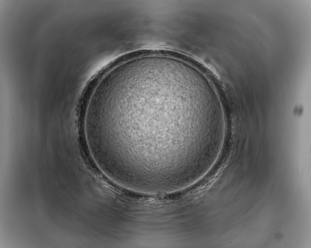 X0000098211311200805011201