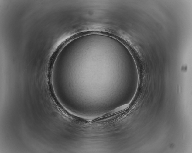 X0000098211312200805011201