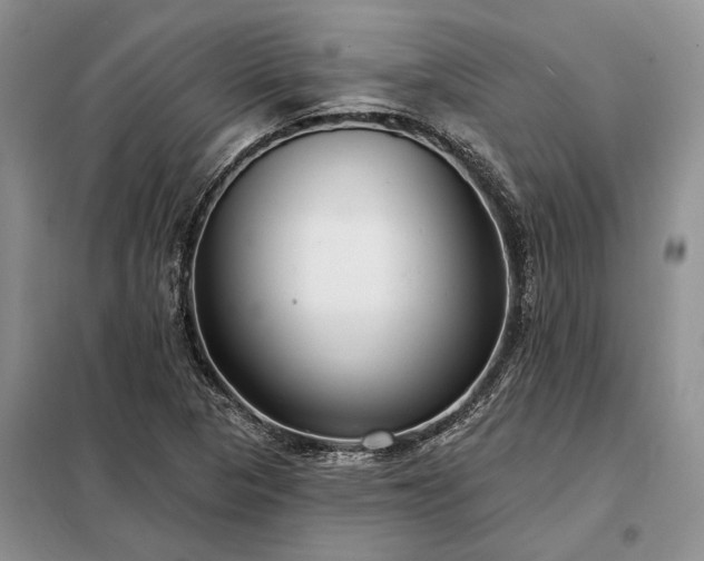 X0000098211313200805011201