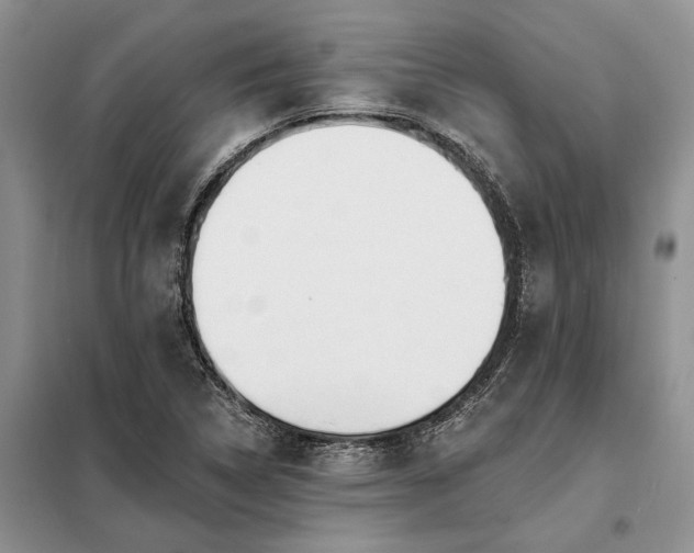 X0000098211314200805011201