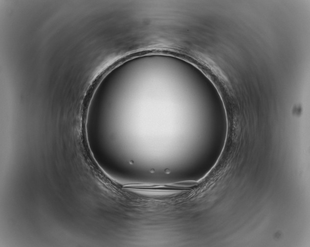 X0000098211316200805011201