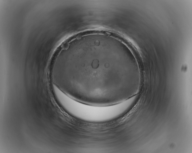 X0000098211318200805011201