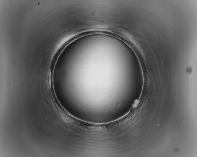 X0000098211320200805011201