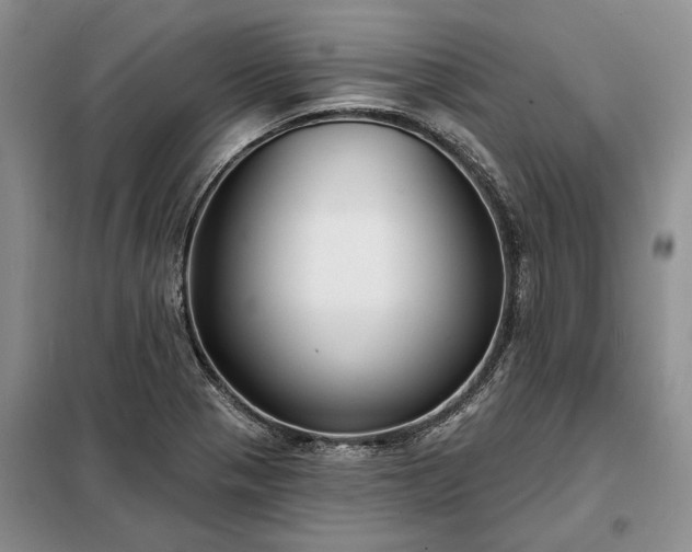 X0000098211321200805011201
