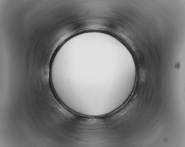 X0000098211322200805011201