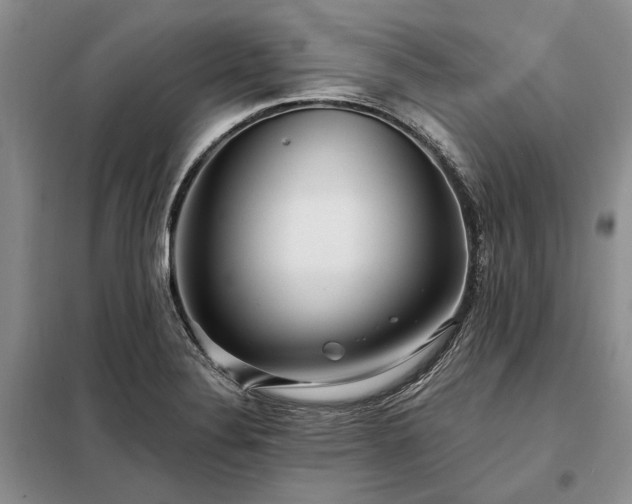 X0000098211324200805011201
