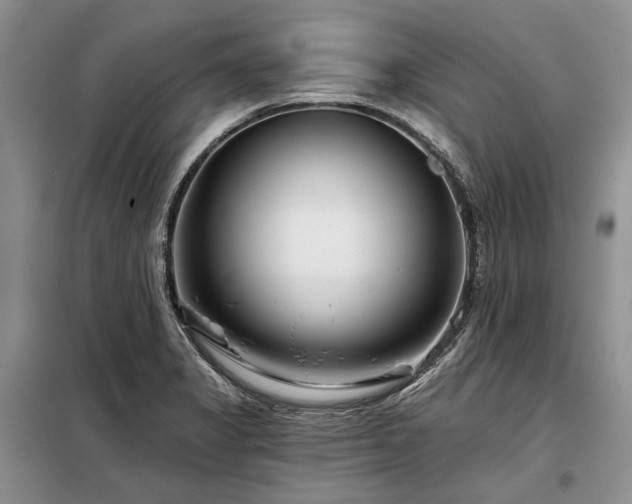 X0000098211325200805011201
