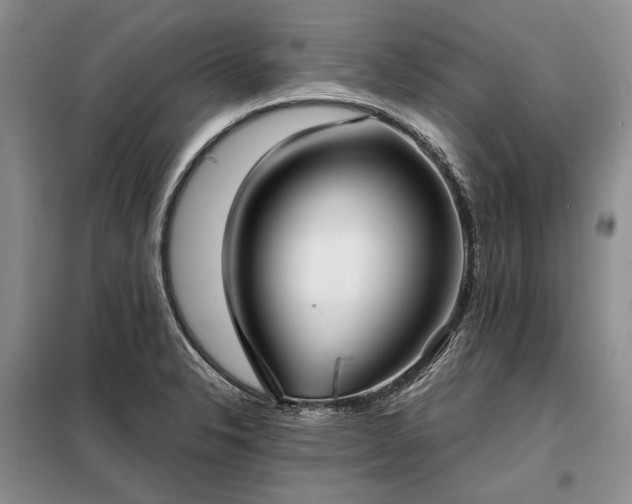 X0000098211326200805011201