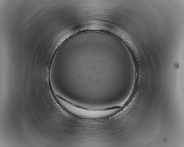 X0000098211329200805011201
