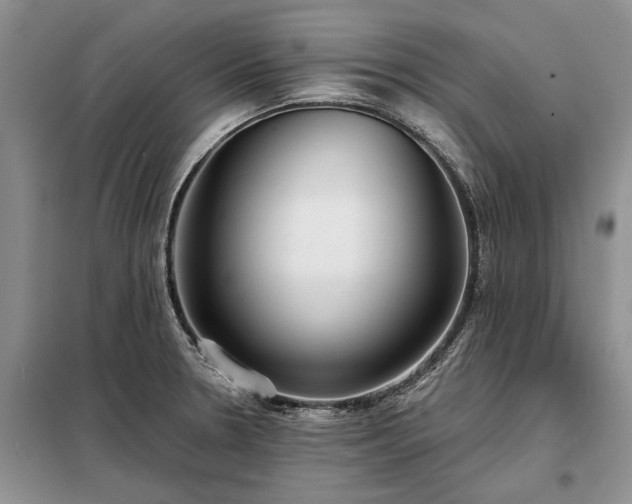 X0000098211330200805011201