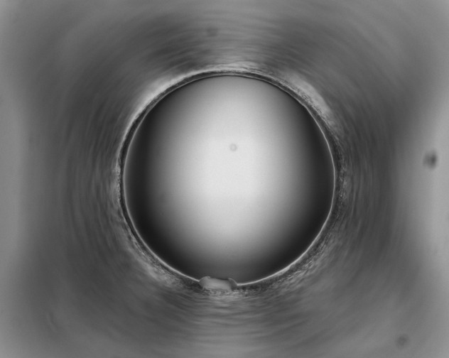 X0000098211332200805011201