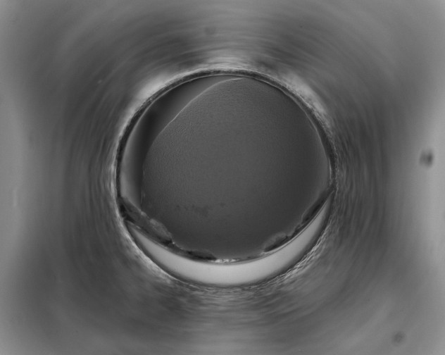 X0000098211334200805011201