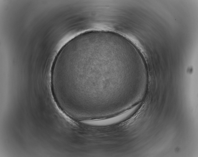 X0000098211335200805011201