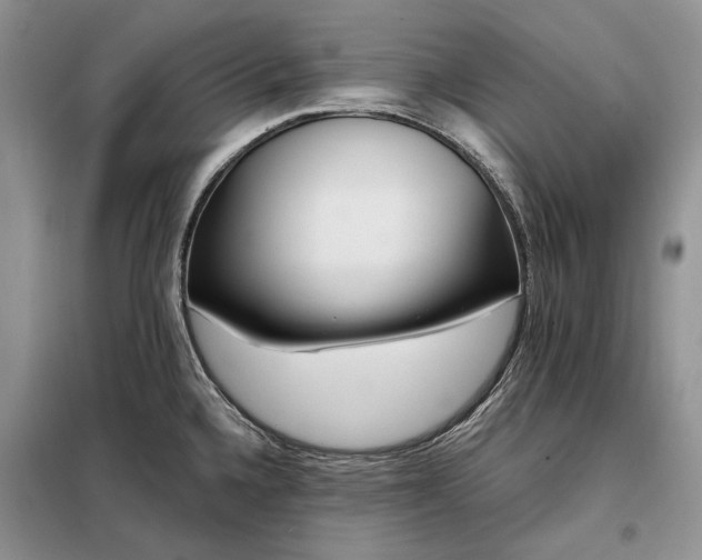 X0000098211336200805011201