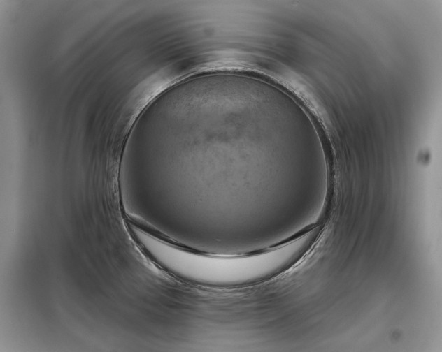 X0000098211337200805011201