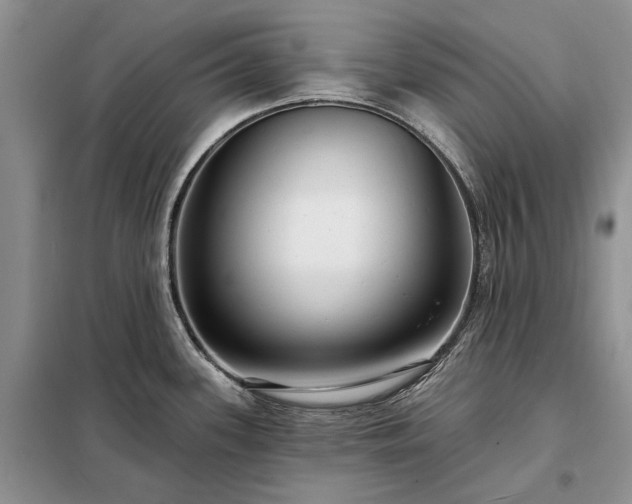 X0000098211339200805011201