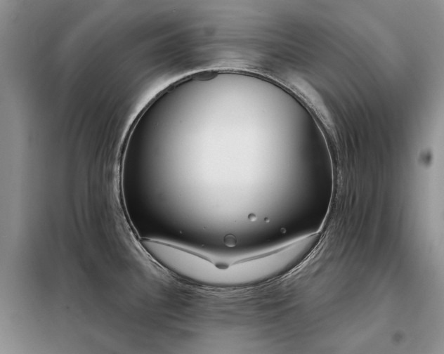 X0000098211340200805011201