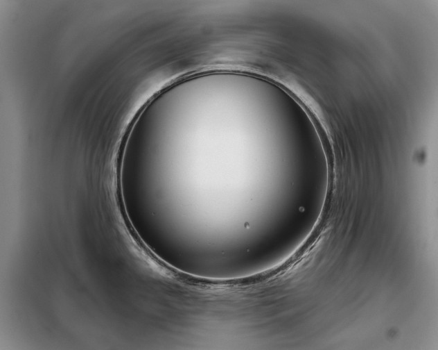 X0000098211341200805011201