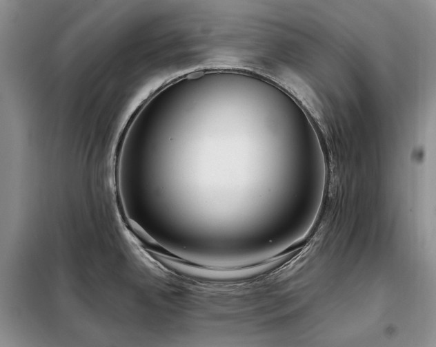 X0000098211342200805011202