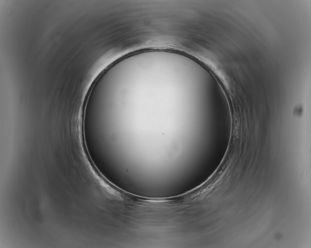 X0000098211343200805011202