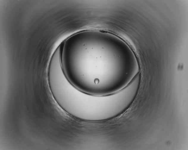 X0000098211344200805011202