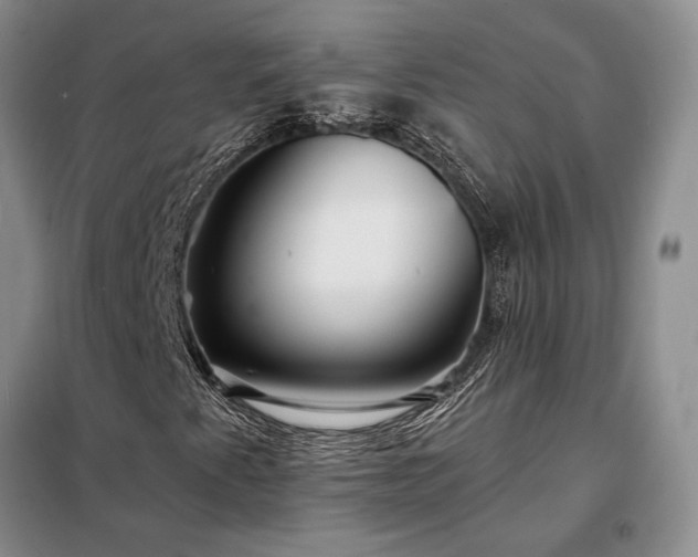 X0000098211345200805011201