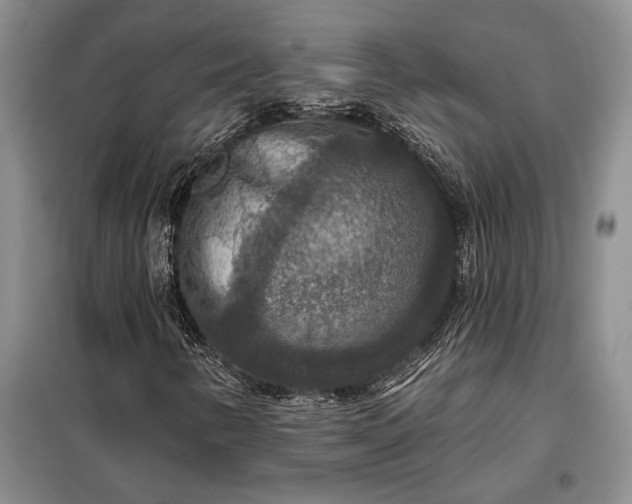 X0000098211346200805011201