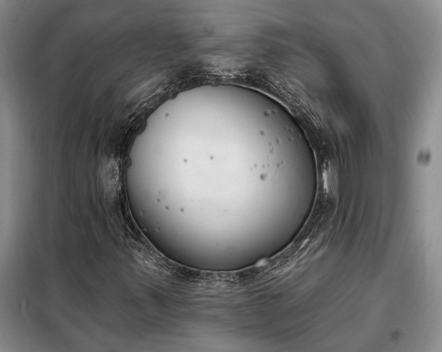 X0000098211347200805011201