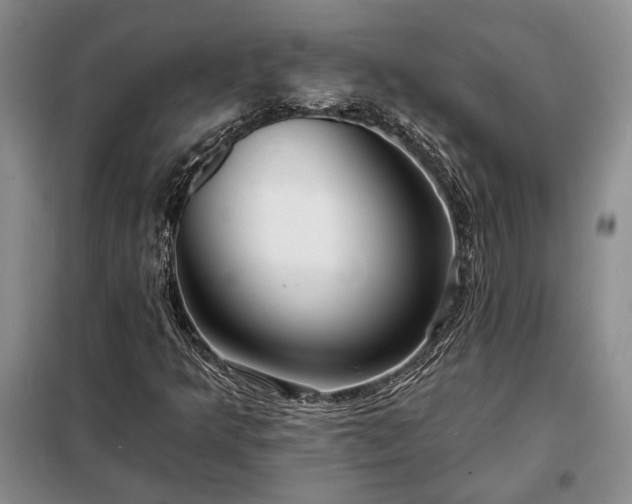 X0000098211349200805011201