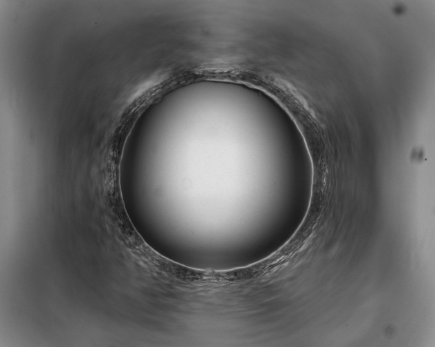 X0000098211350200805011201
