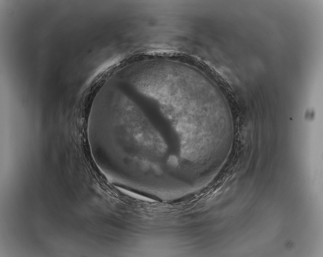 X0000098211351200805011201
