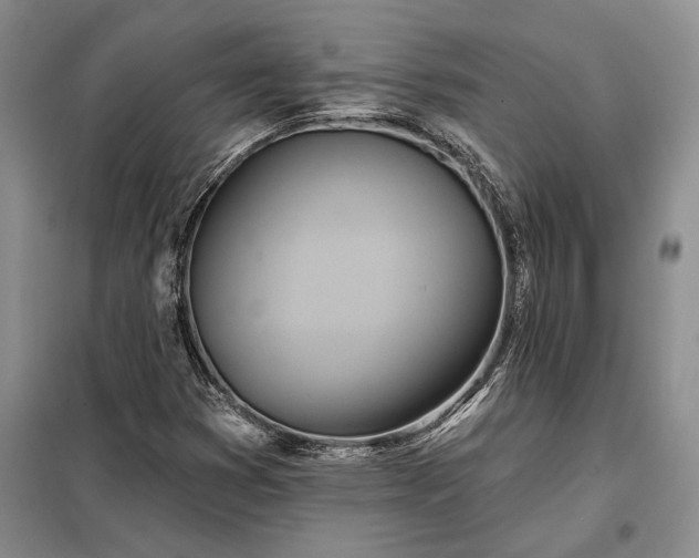 X0000098211353200805011201