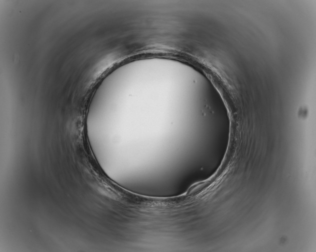 X0000098211355200805011201