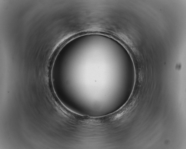 X0000098211356200805011201