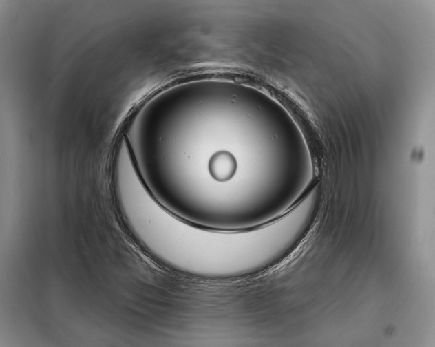 X0000098211357200805011201