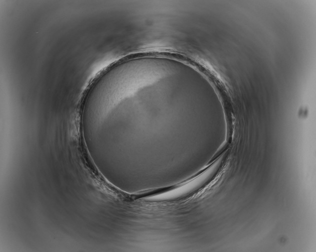 X0000098211358200805011201