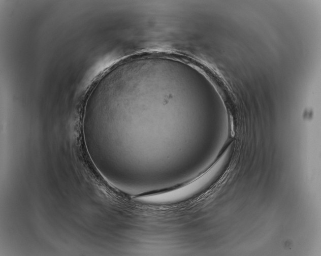 X0000098211359200805011201